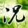 一比一原版埼玉大学文凭学位【degxx.com】
